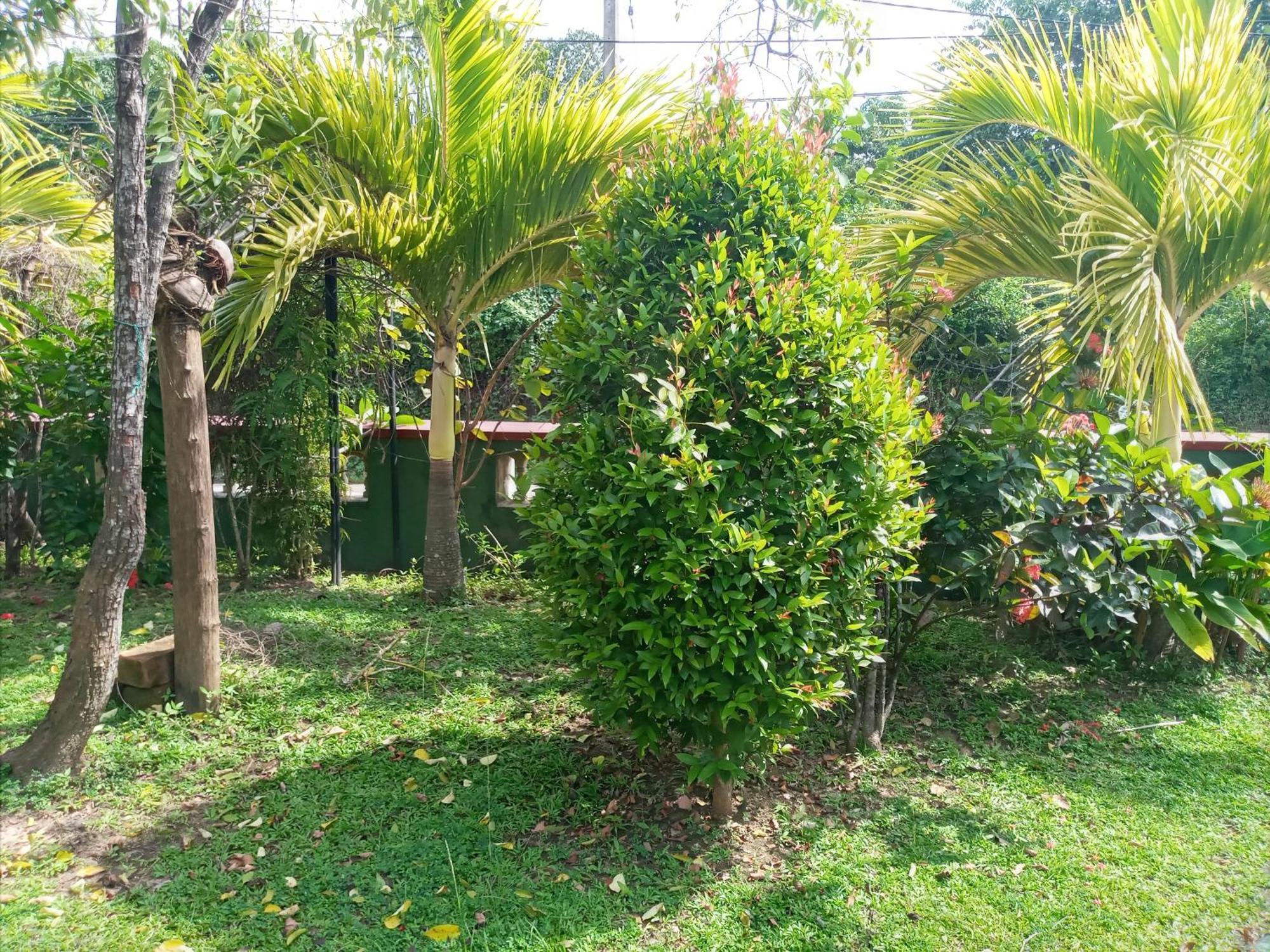 Sunny Side Villa แทนกาลเล ภายนอก รูปภาพ
